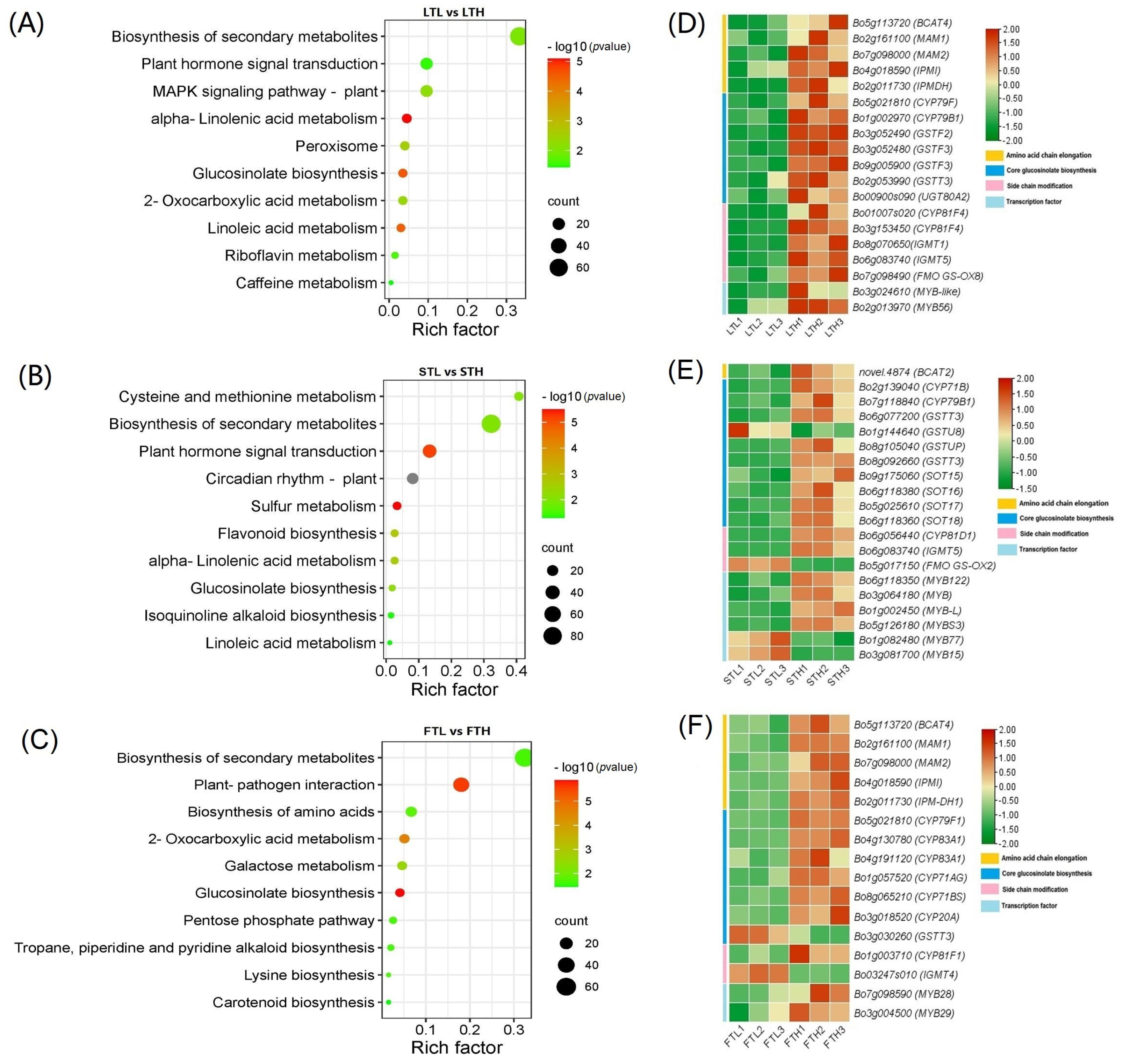 Applsci 13 05837 g002 Applsci 13 05837 g002