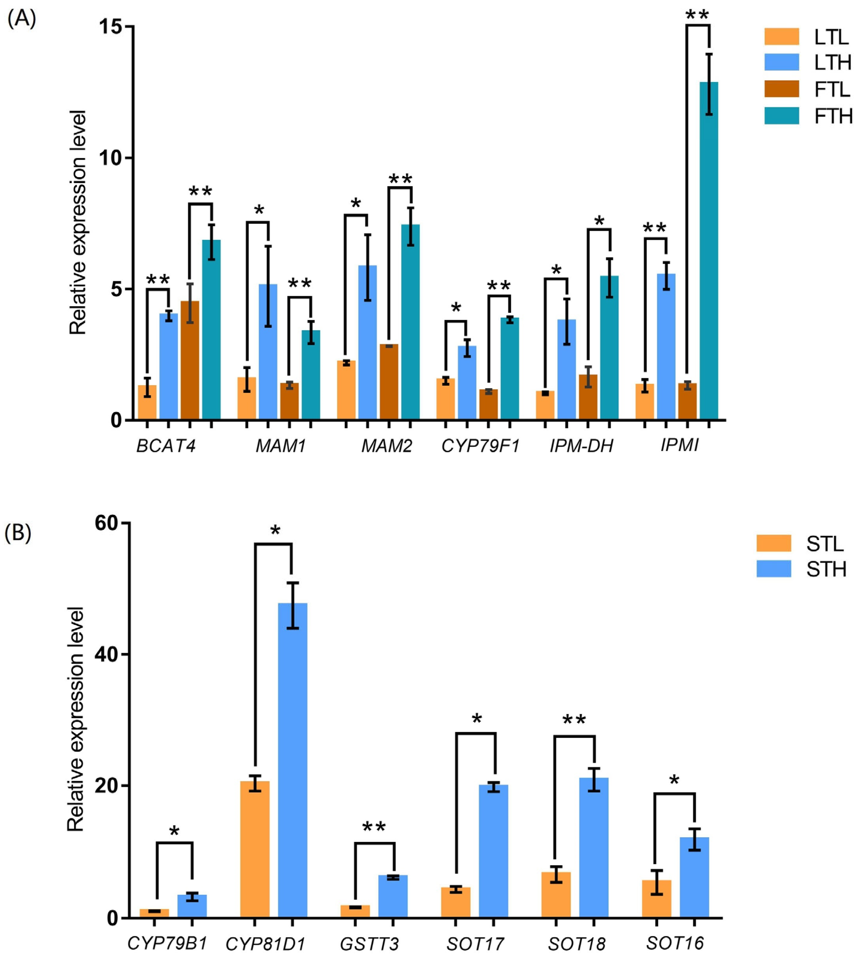 Applsci 13 05837 g003 Applsci 13 05837 g003