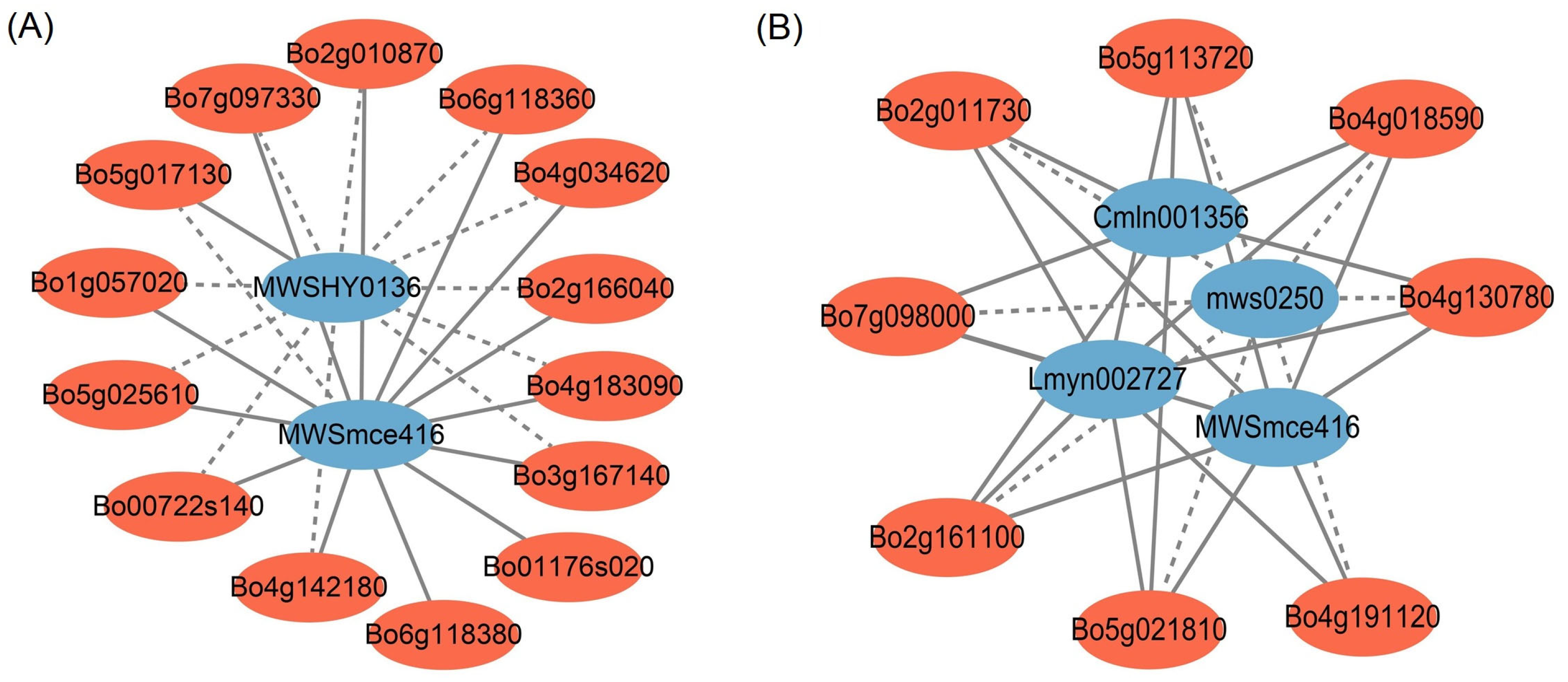 Applsci 13 05837 g007 Applsci 13 05837 g007
