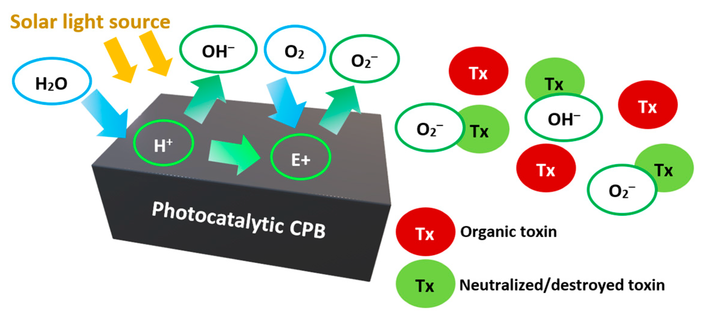Applsci 13 05846 g008