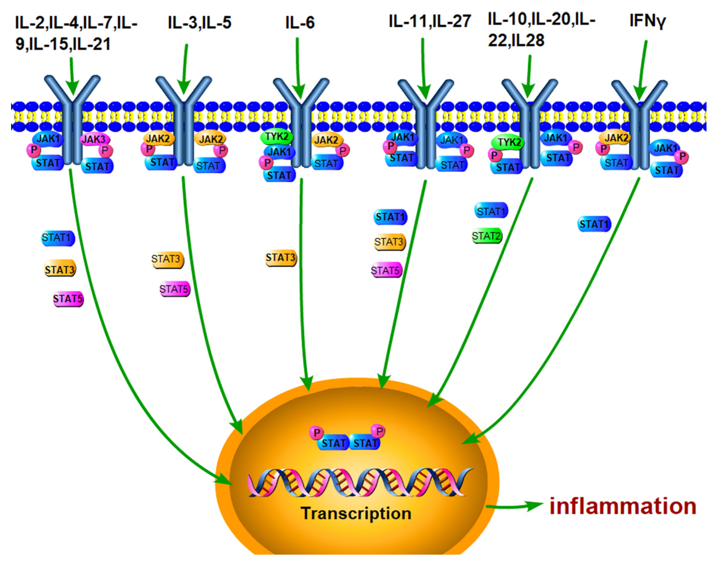 Applsci 13 05862 g002