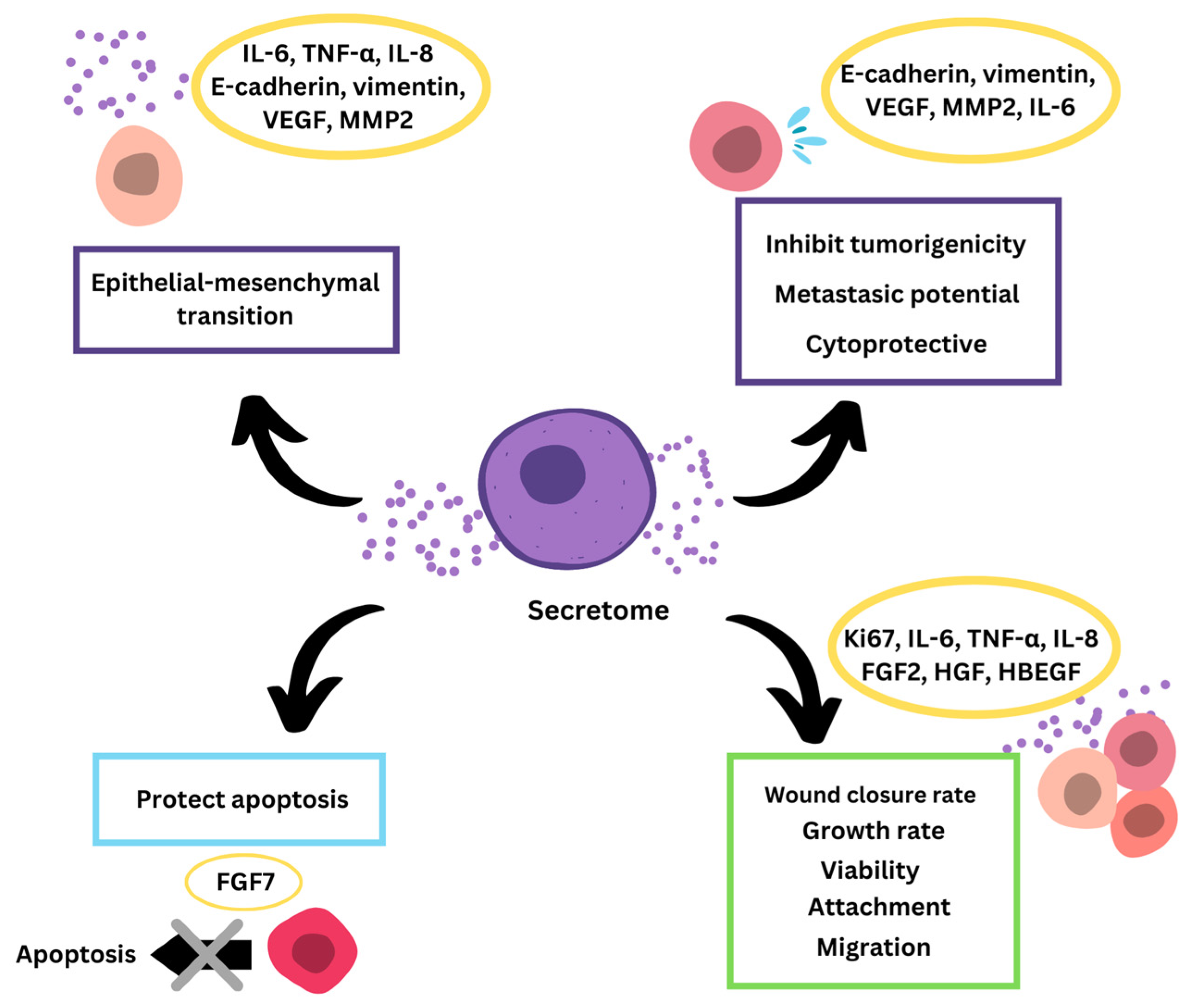Applsci 13 05862 g003