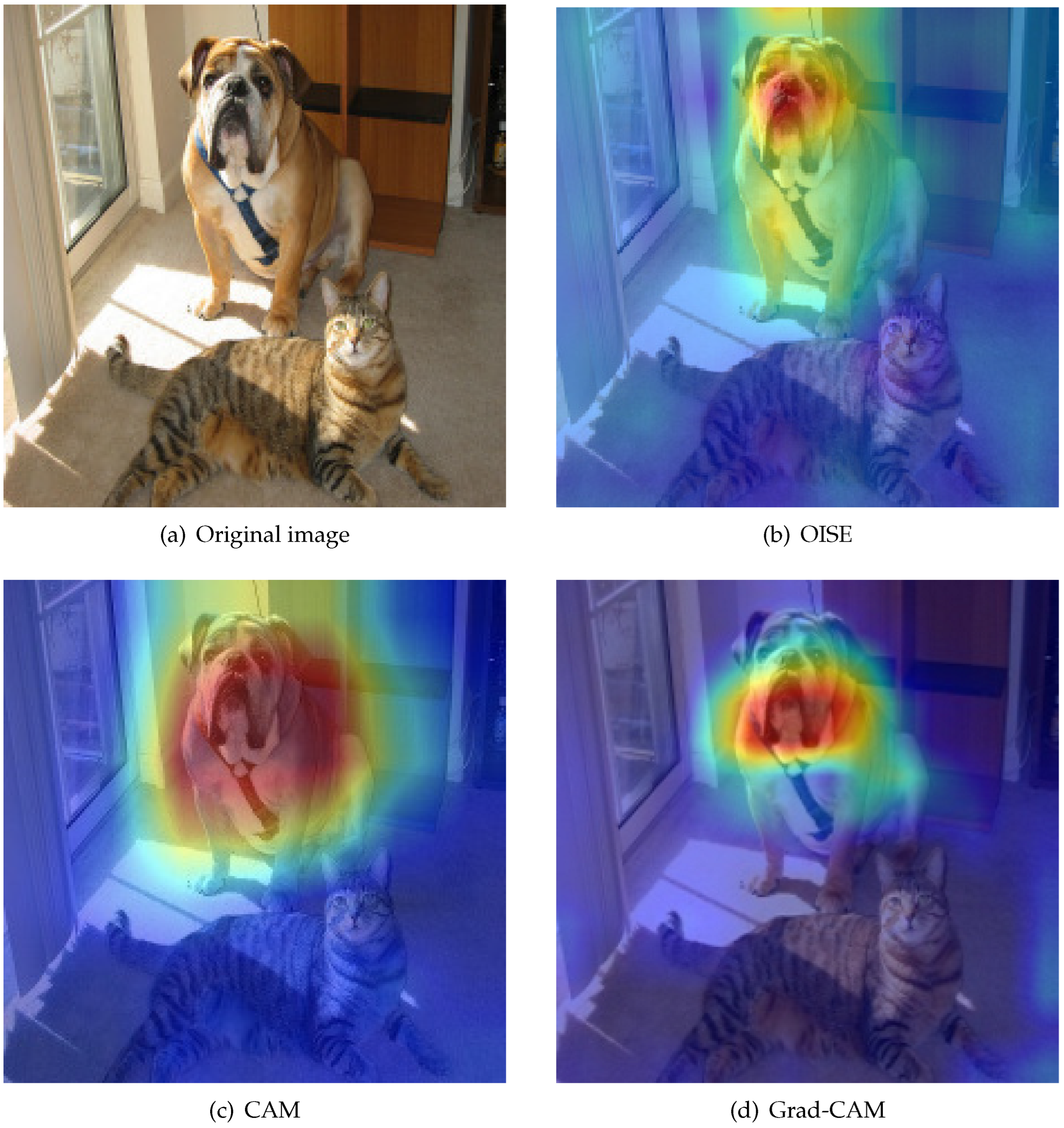 Applsci 13 05886 g004