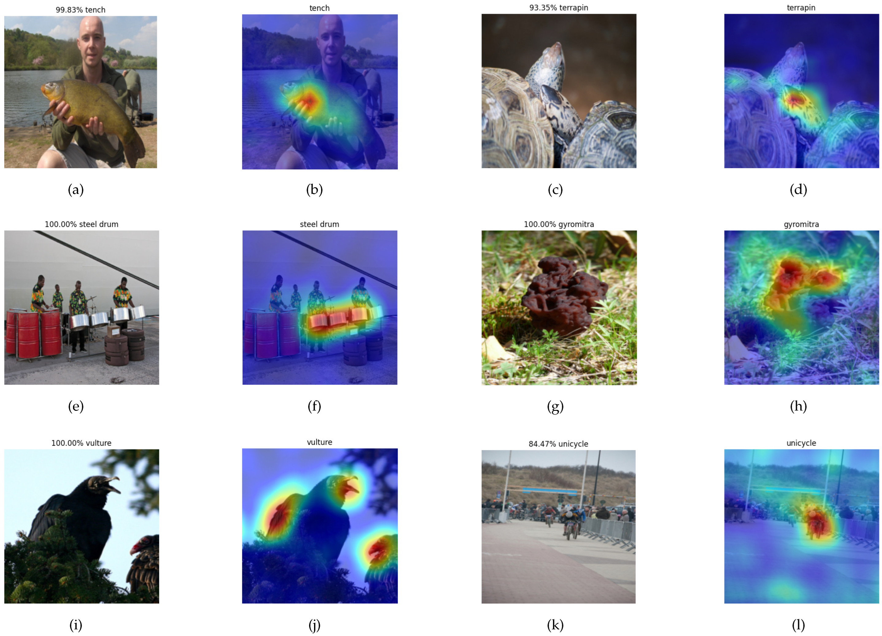 Applsci 13 05886 g005