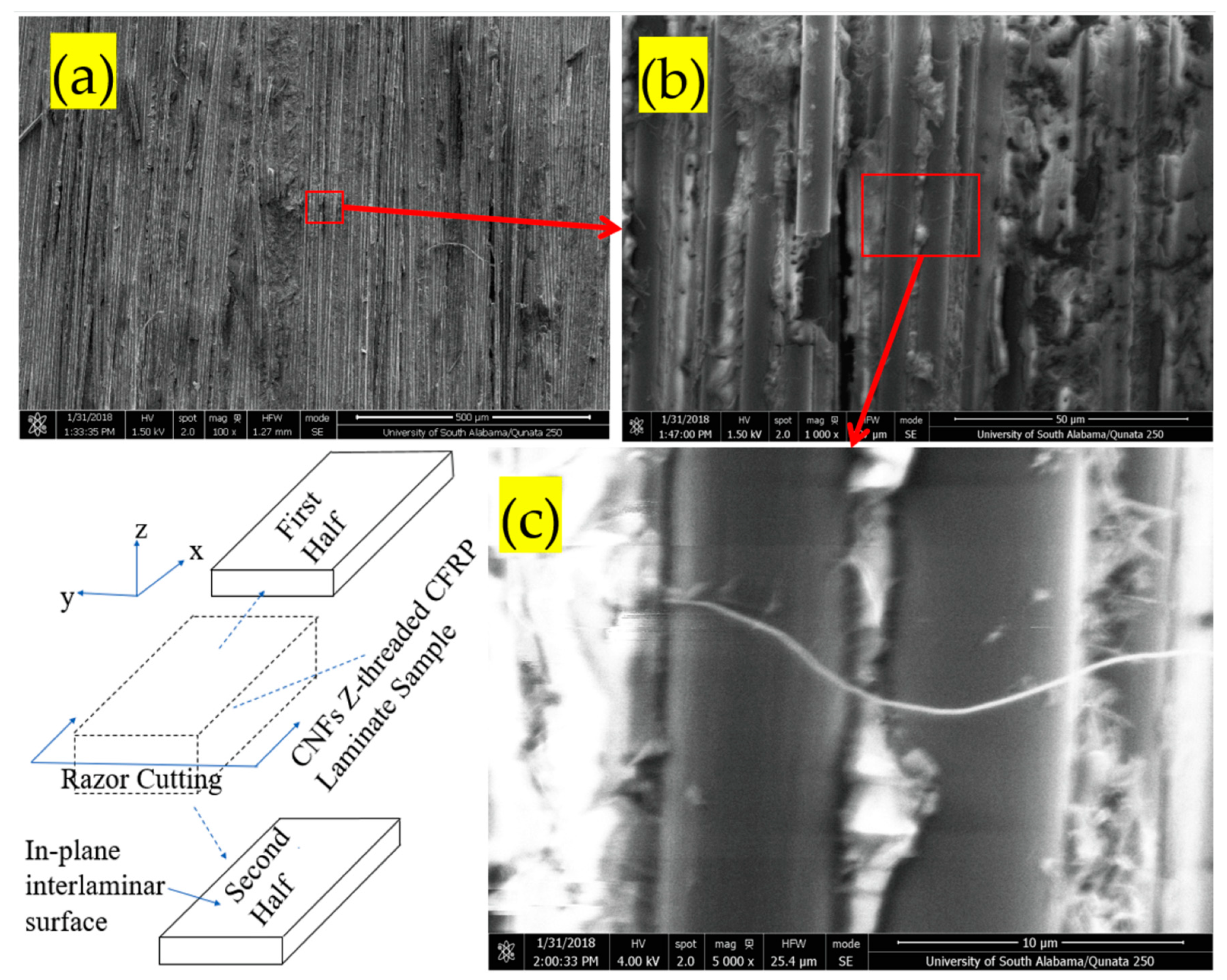 Applsci 13 05914 g003 Applsci 13 05914 g003