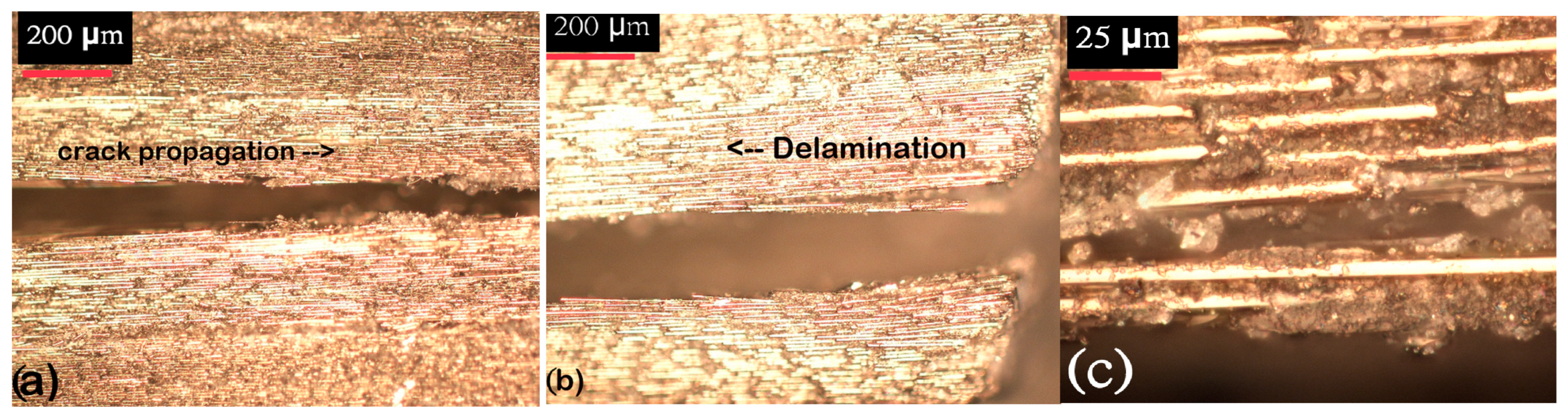 Applsci 13 05914 g014 Applsci 13 05914 g014