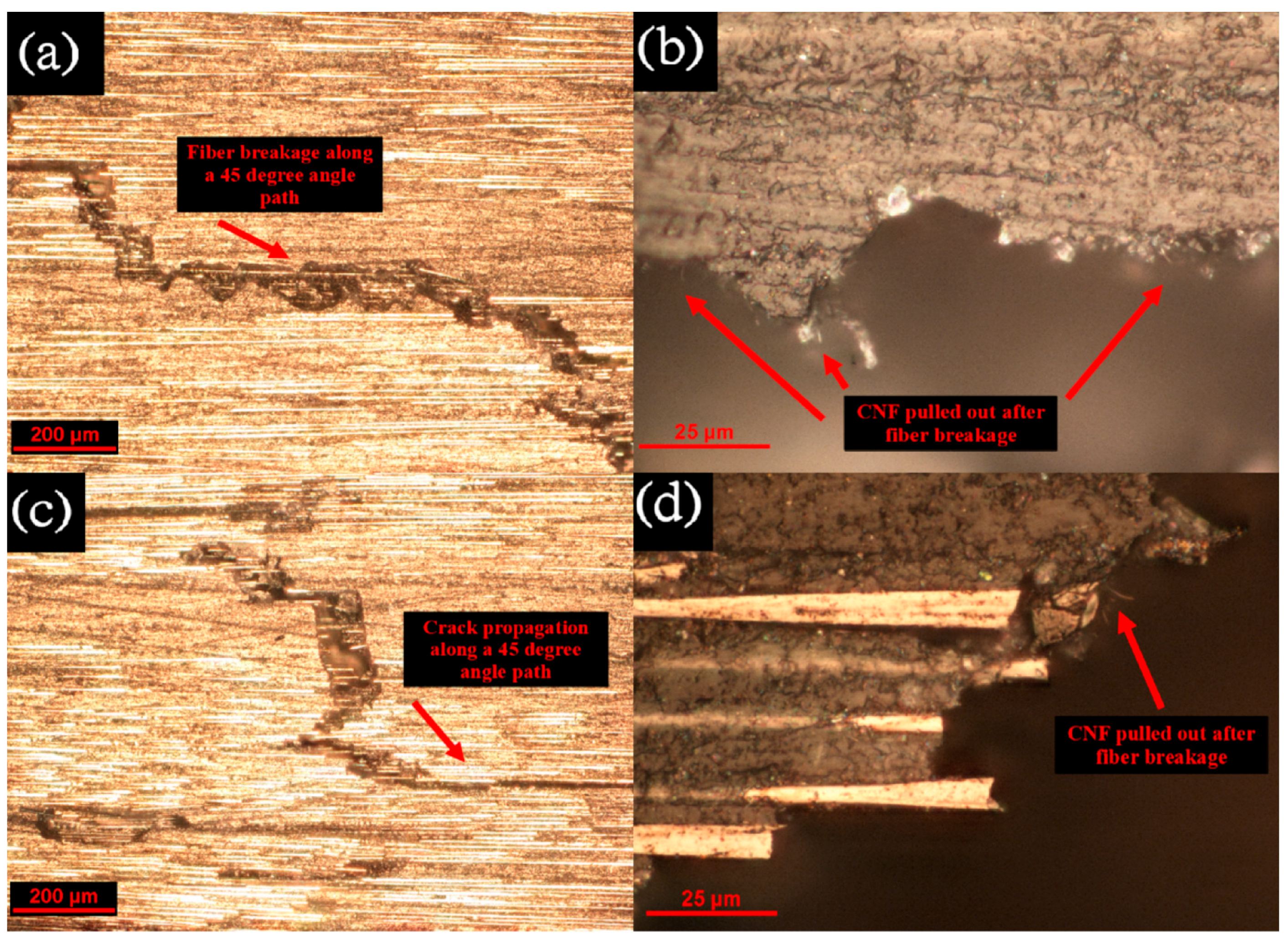 Applsci 13 05914 g015 Applsci 13 05914 g015