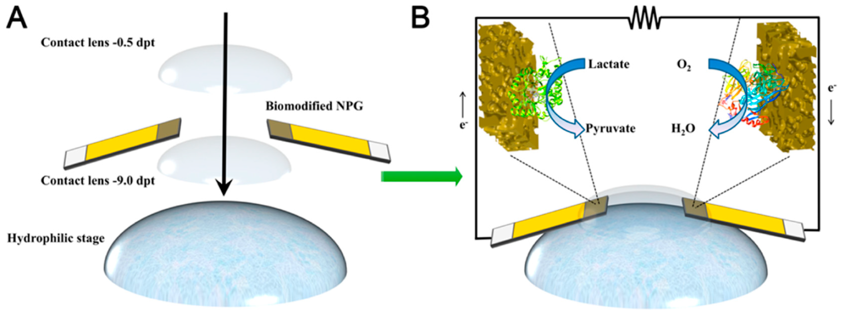 Applsci 13 05917 g004 Applsci 13 05917 g004