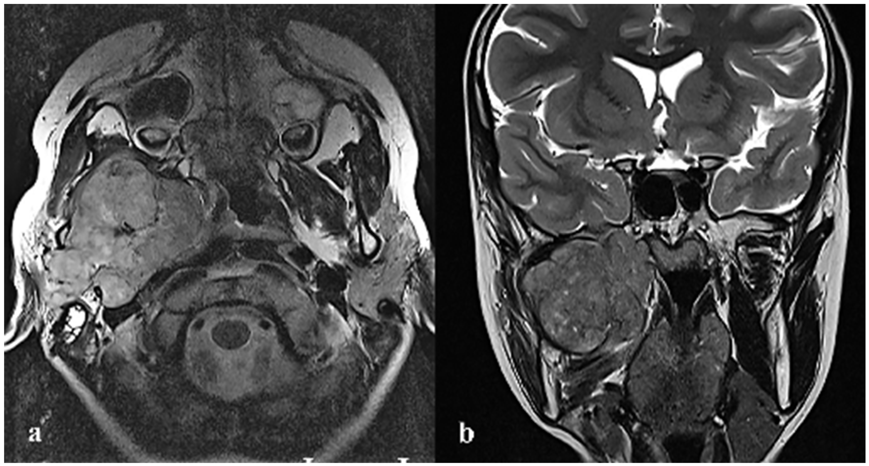 Applsci 13 05926 g001 Applsci 13 05926 g001