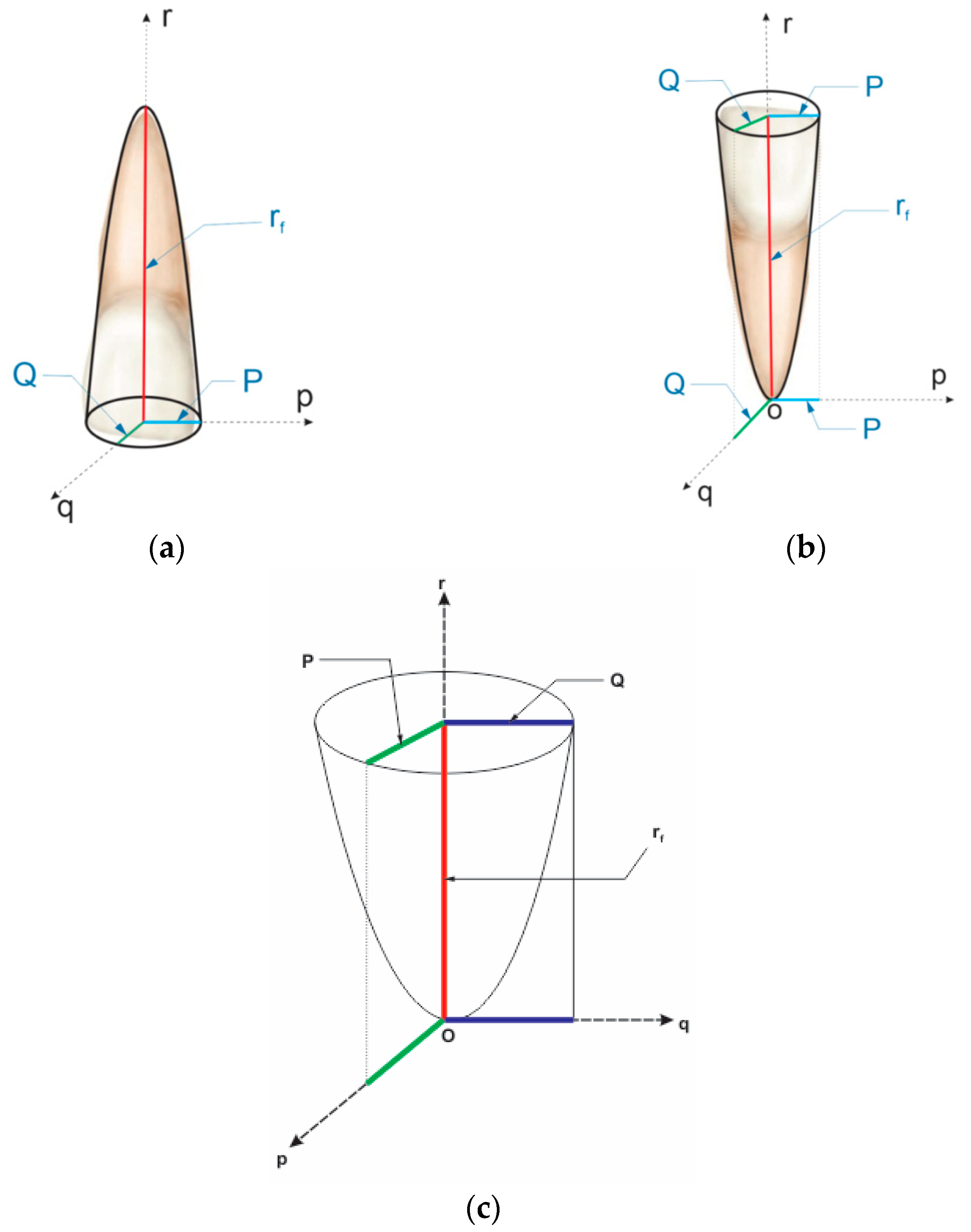 Applsci 13 05932 g001