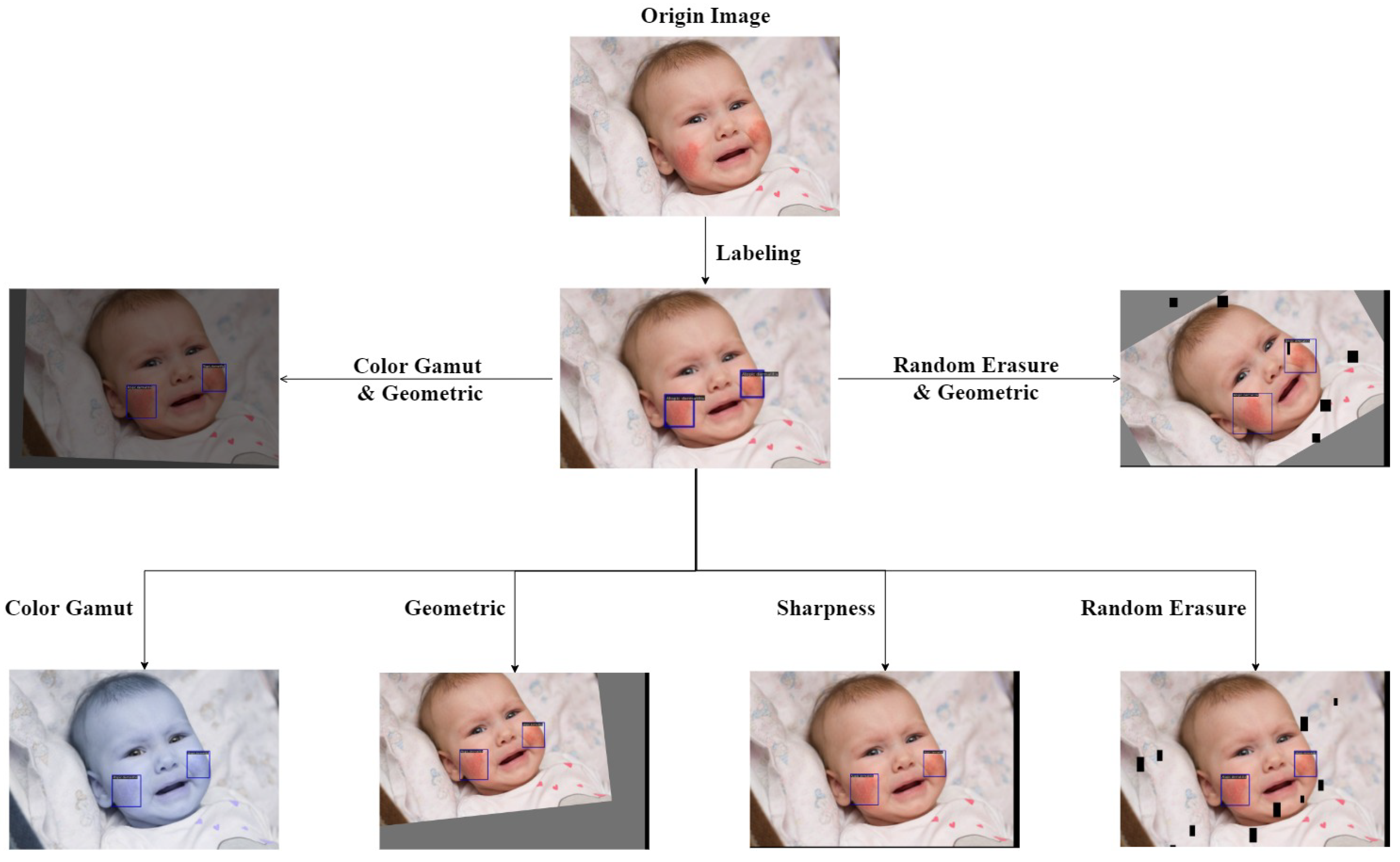 Applsci 13 05958 g002