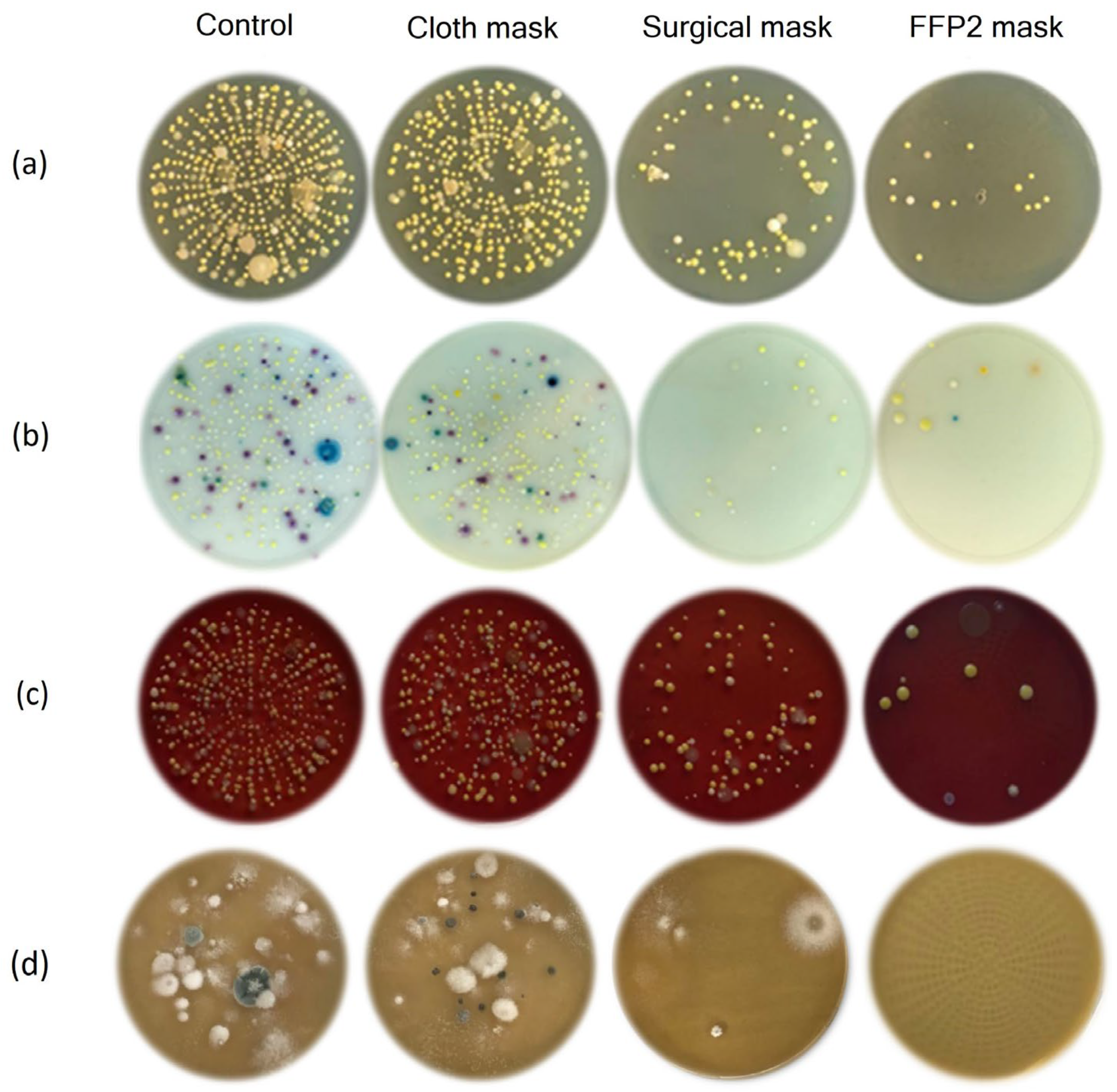 Applsci 13 05972 g004