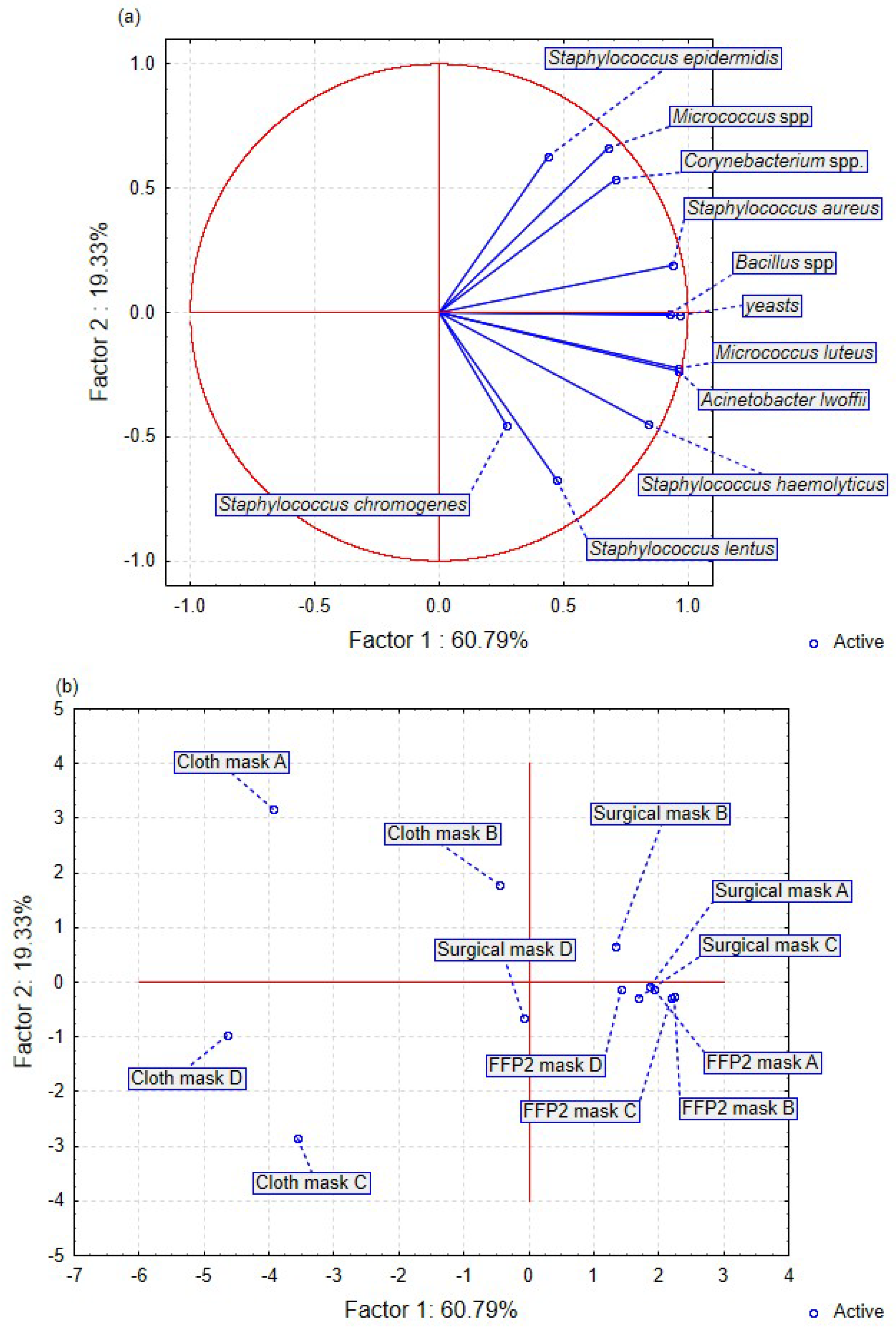 Applsci 13 05972 g005