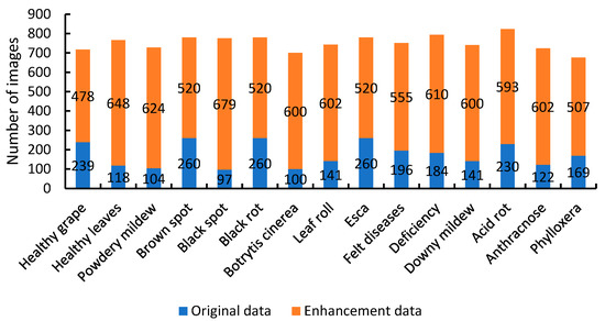 Identification of Grape Diseases Based on Improved YOLOXS