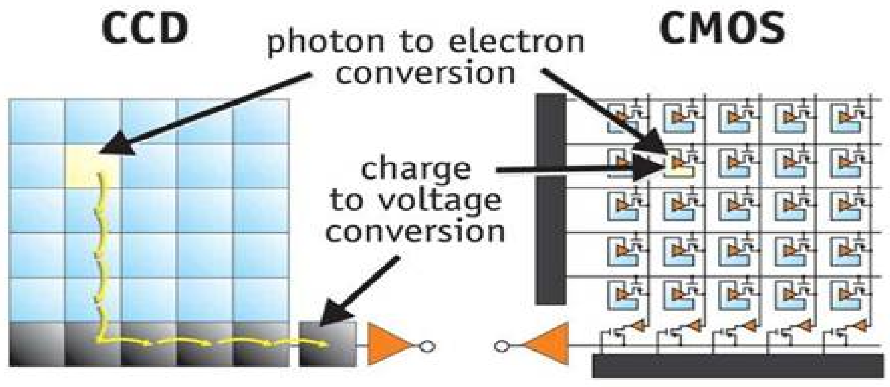 Applsci 13 05982 g005 Applsci 13 05982 g005