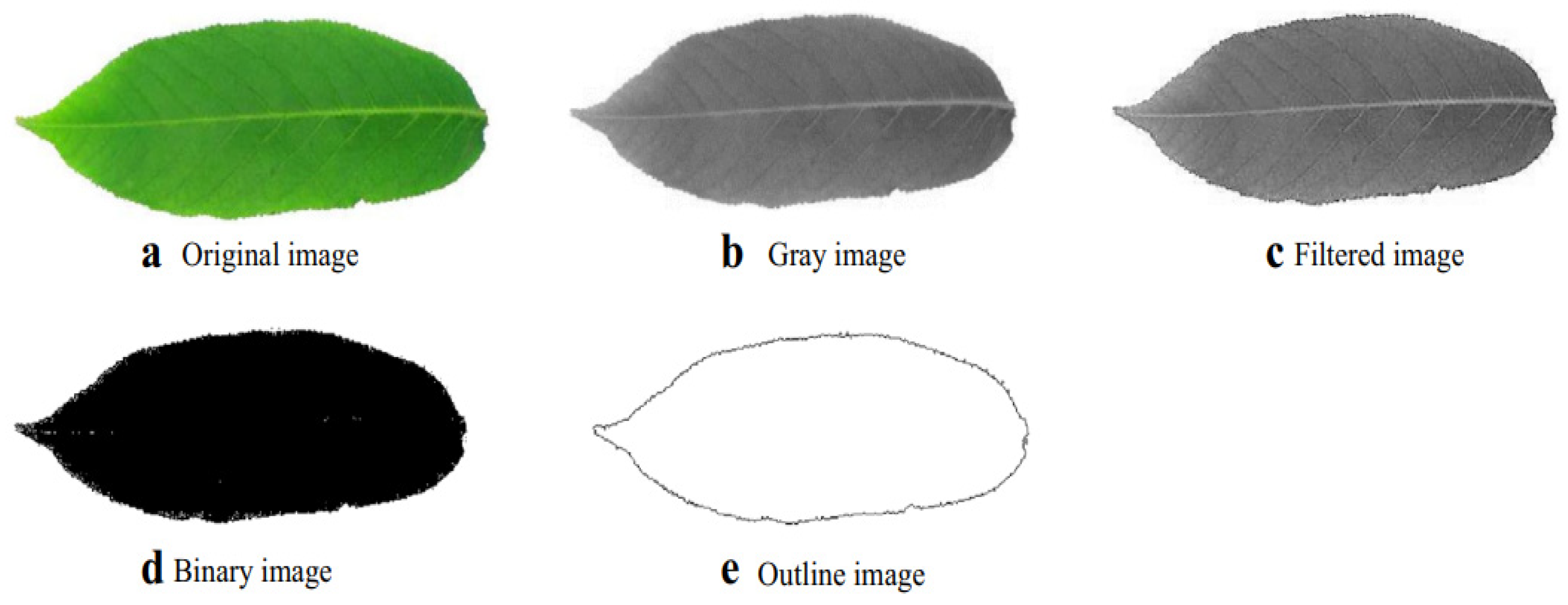 Applsci 13 05982 g007 Applsci 13 05982 g007