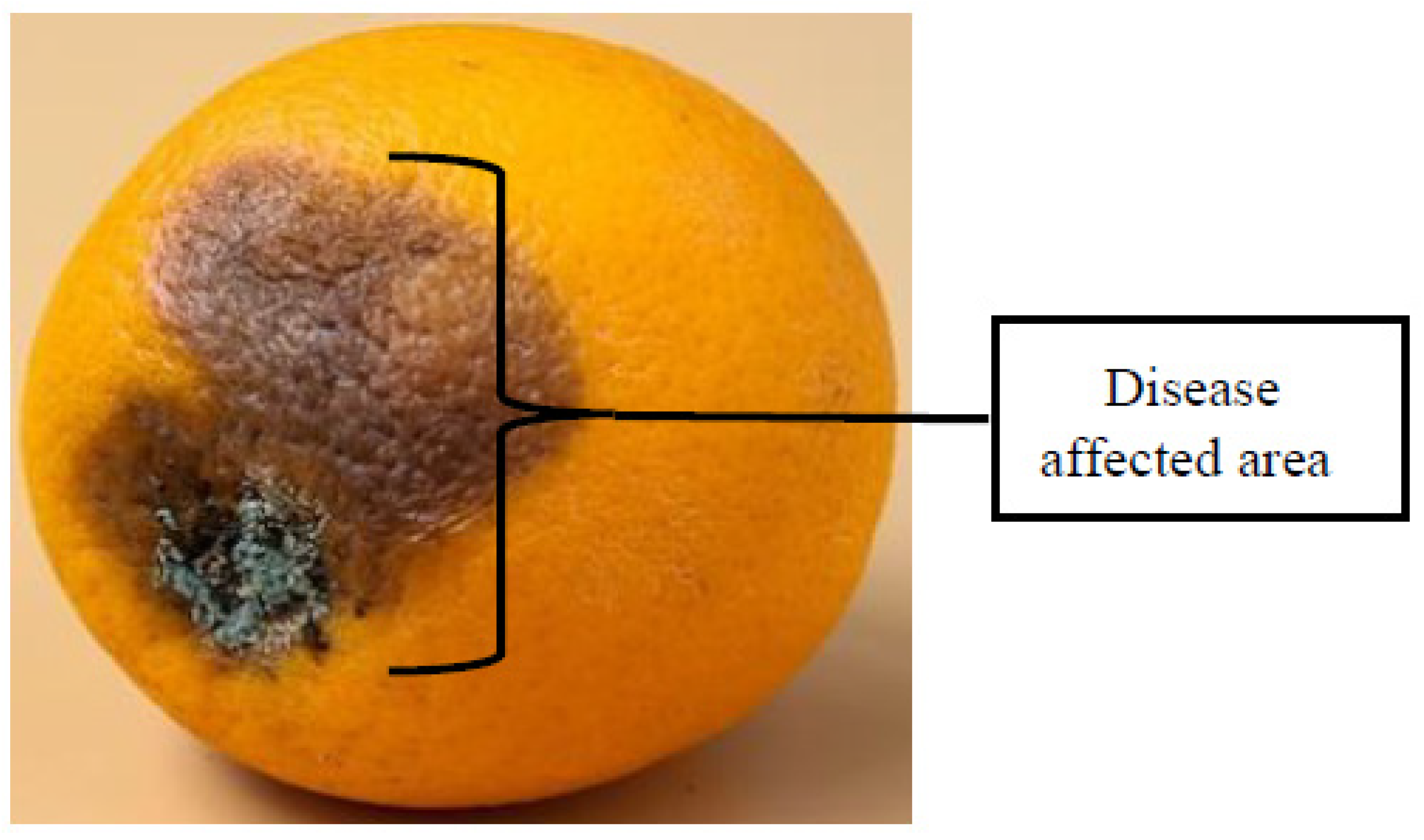 Applsci 13 05982 g014 Applsci 13 05982 g014