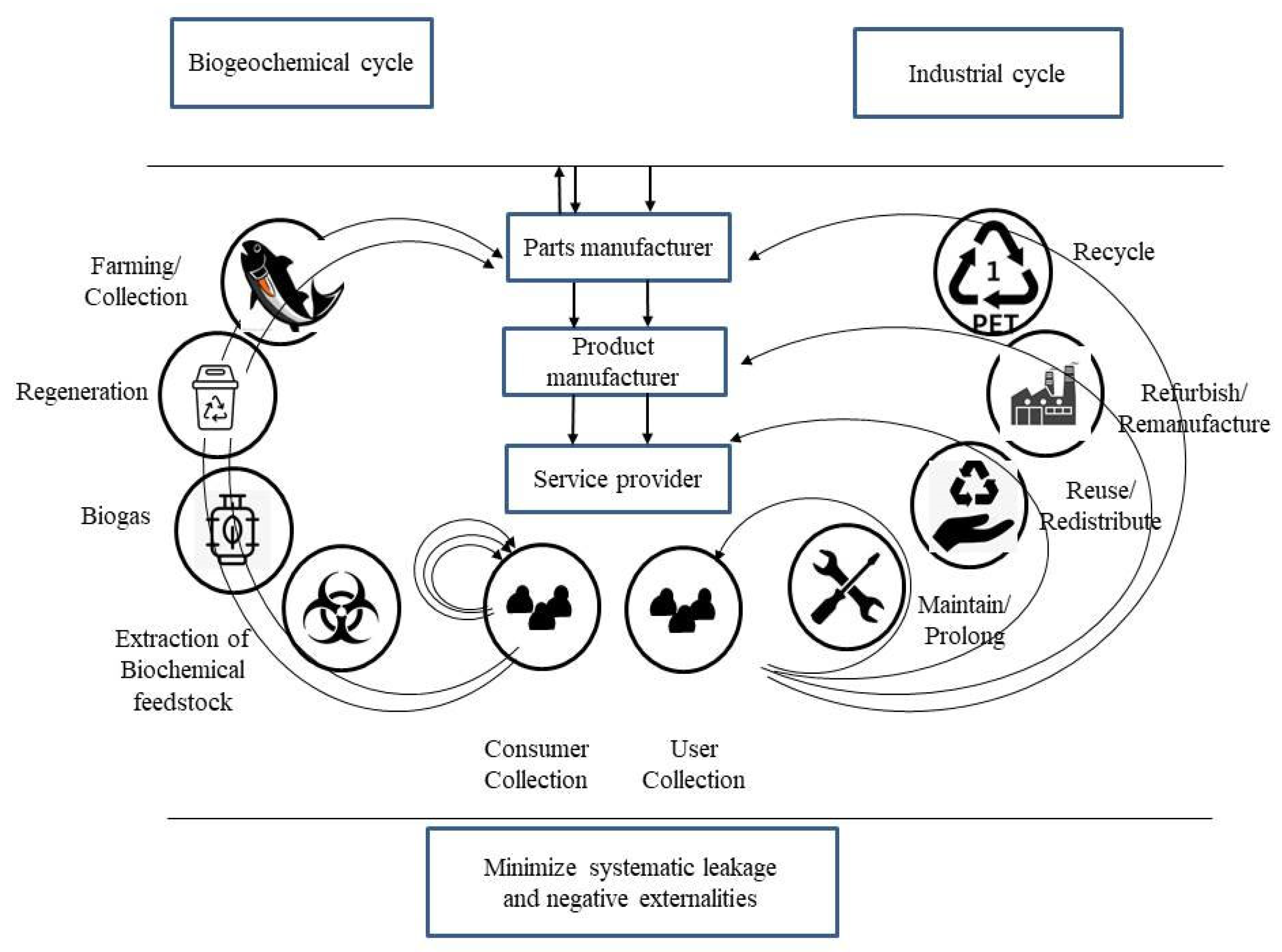 Applsci 13 05986 g001
