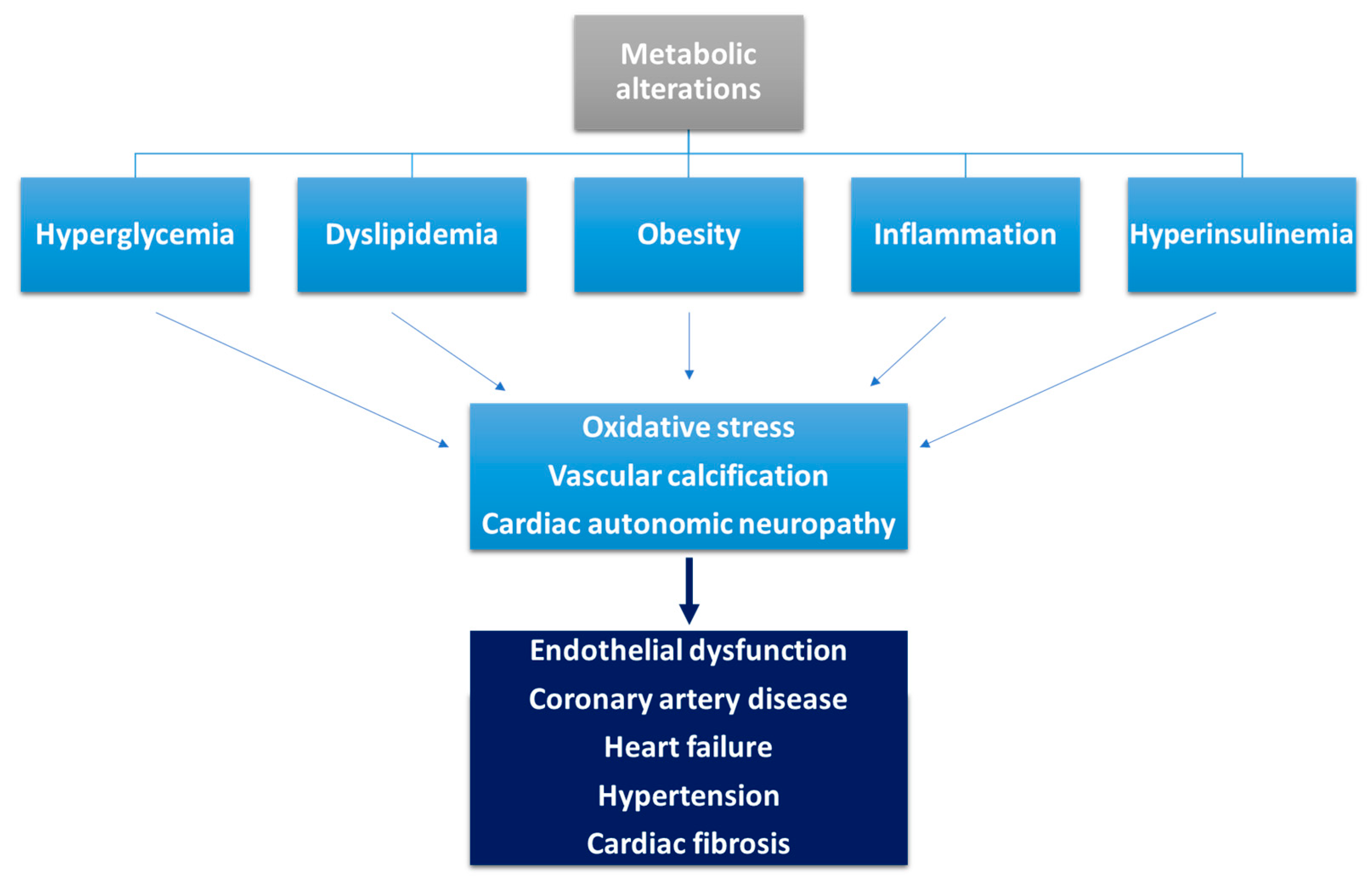 Applsci 13 05990 g002 Applsci 13 05990 g002