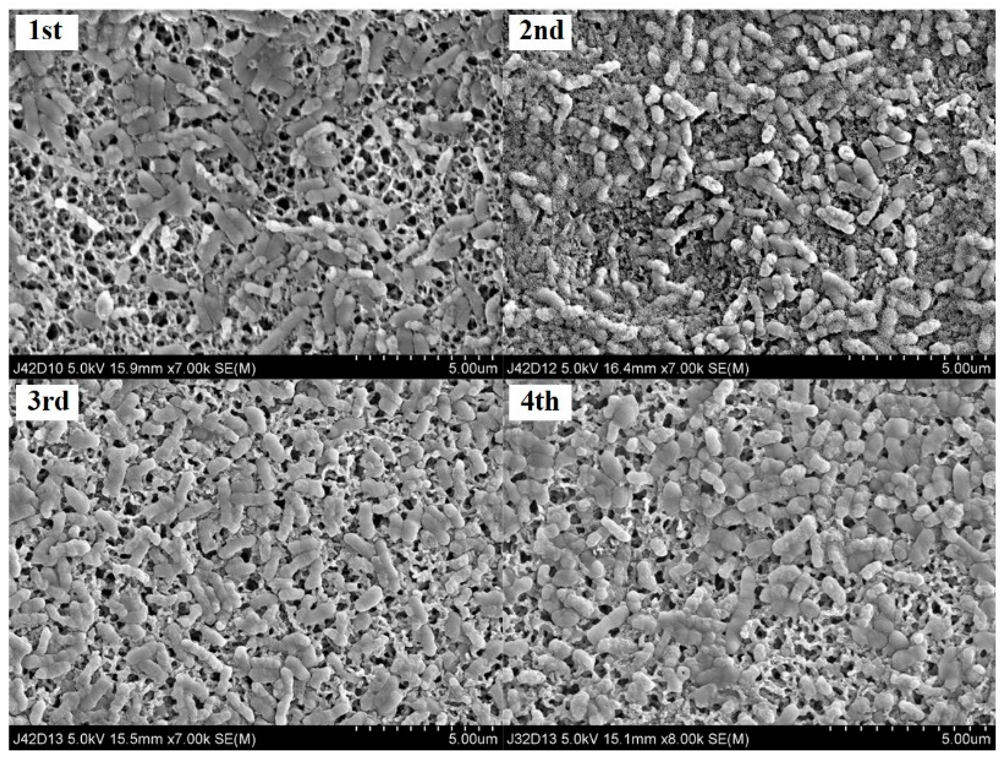 Applsci 13 05997 g001