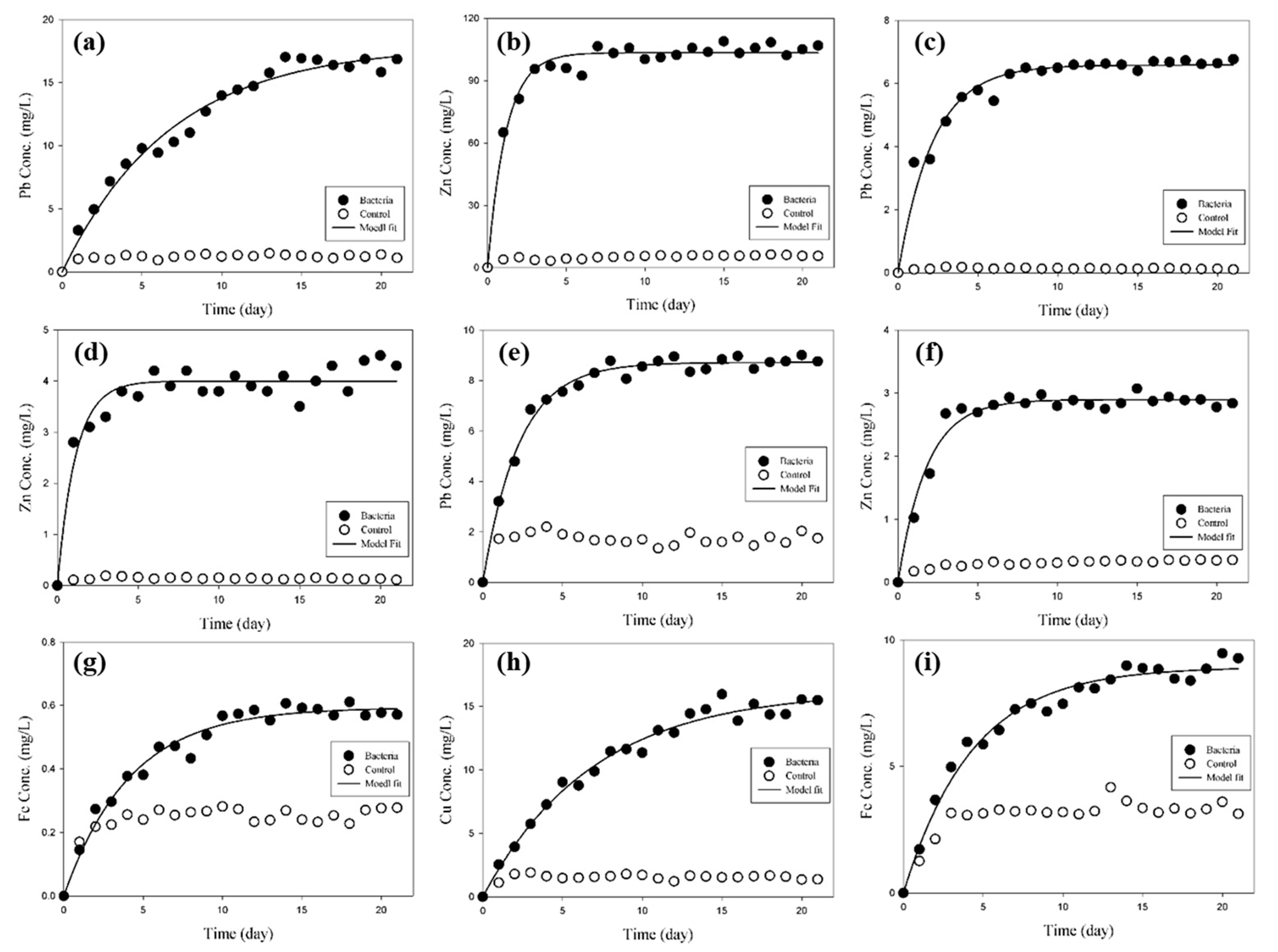 Applsci 13 05997 g005