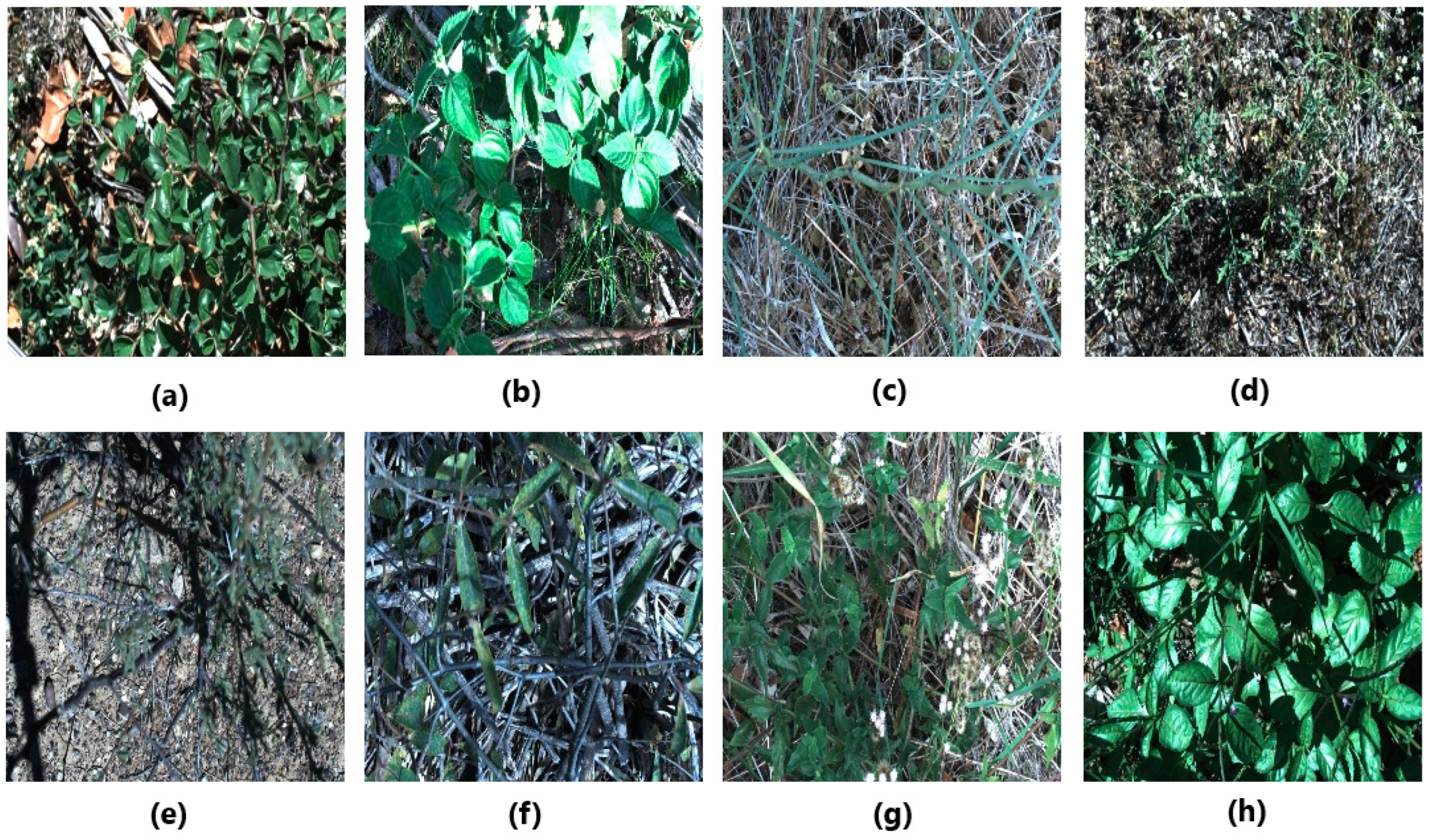 Applsci 13 06007 g004