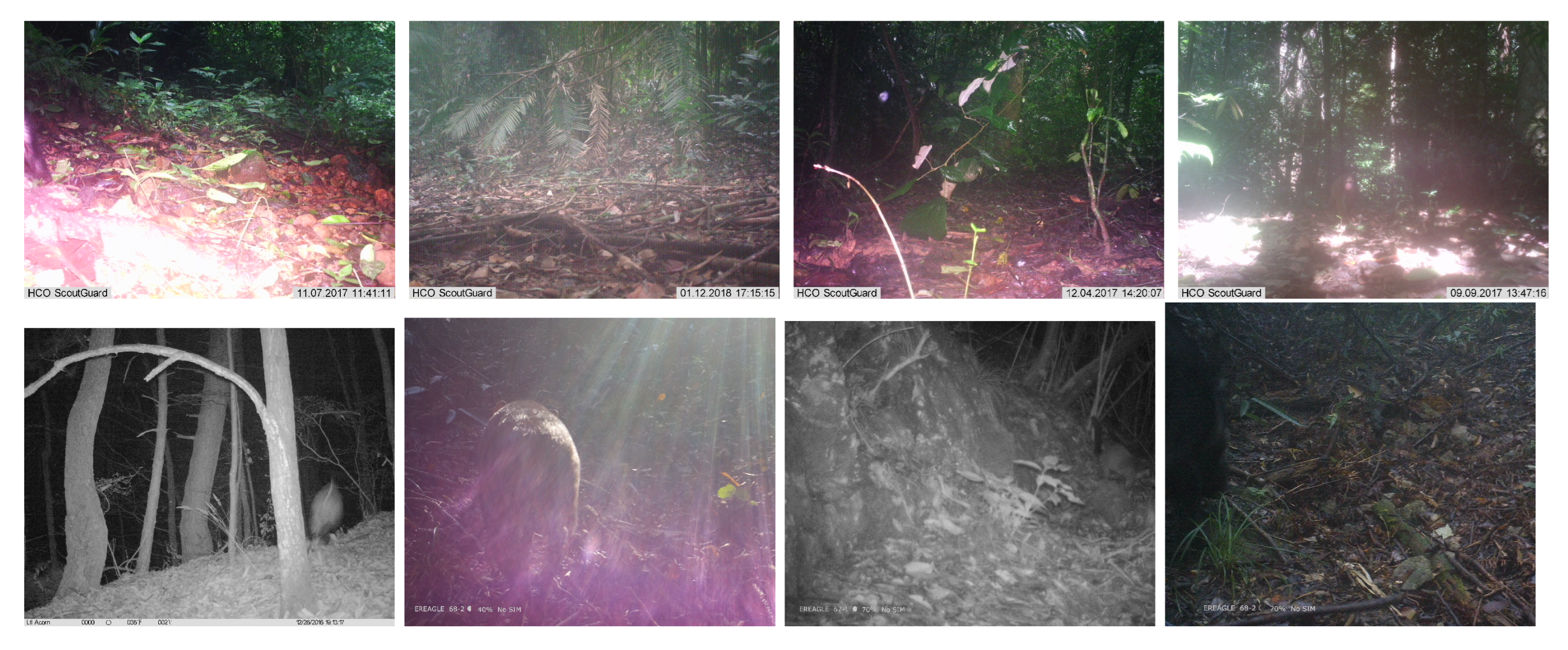 Applsci 13 06029 g005