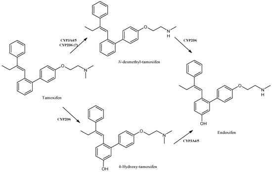 Impact of Cytochrome P450 Enzymes on the Phase I Metabolism of Drugs