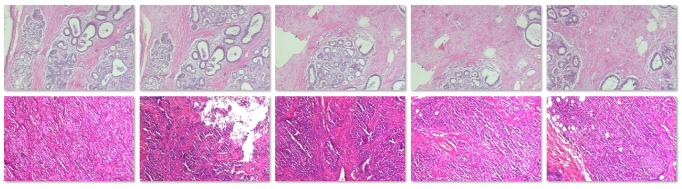 Applsci 13 06081 g001