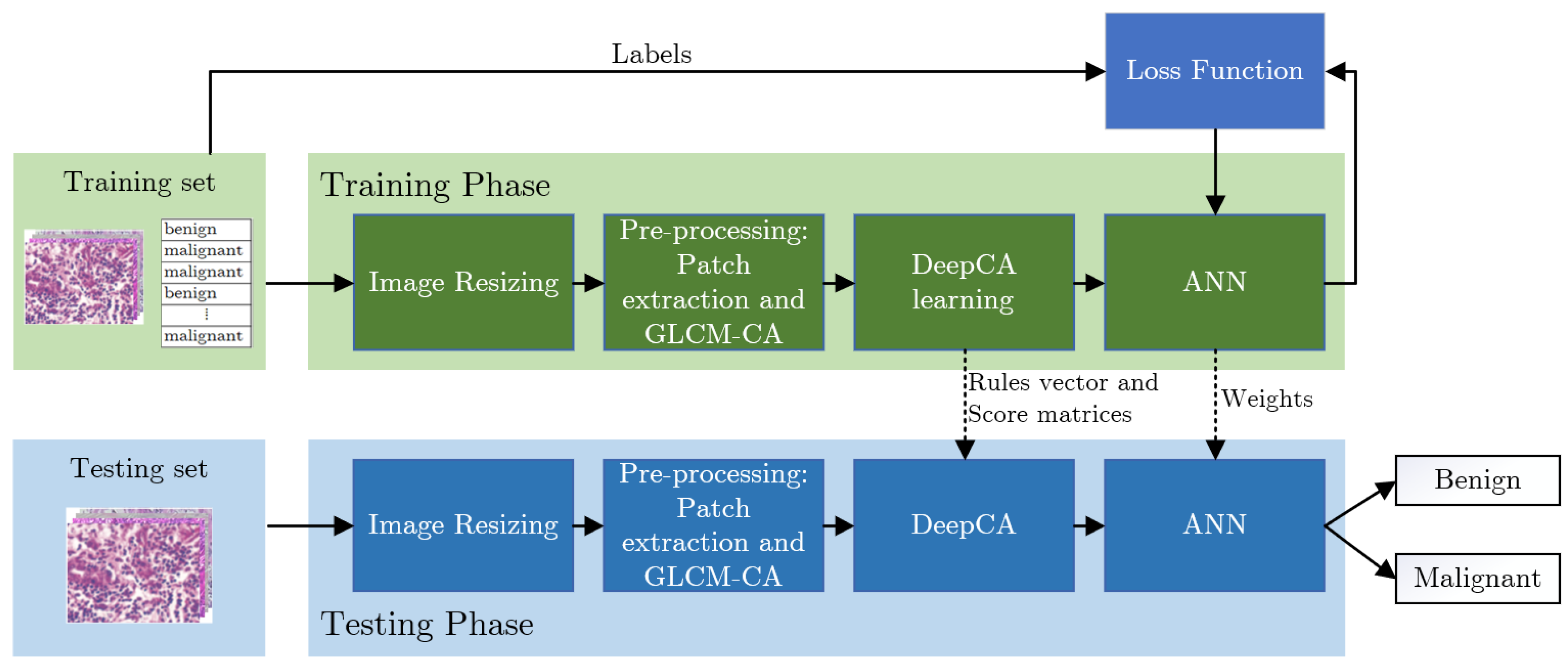 Applsci 13 06081 g005