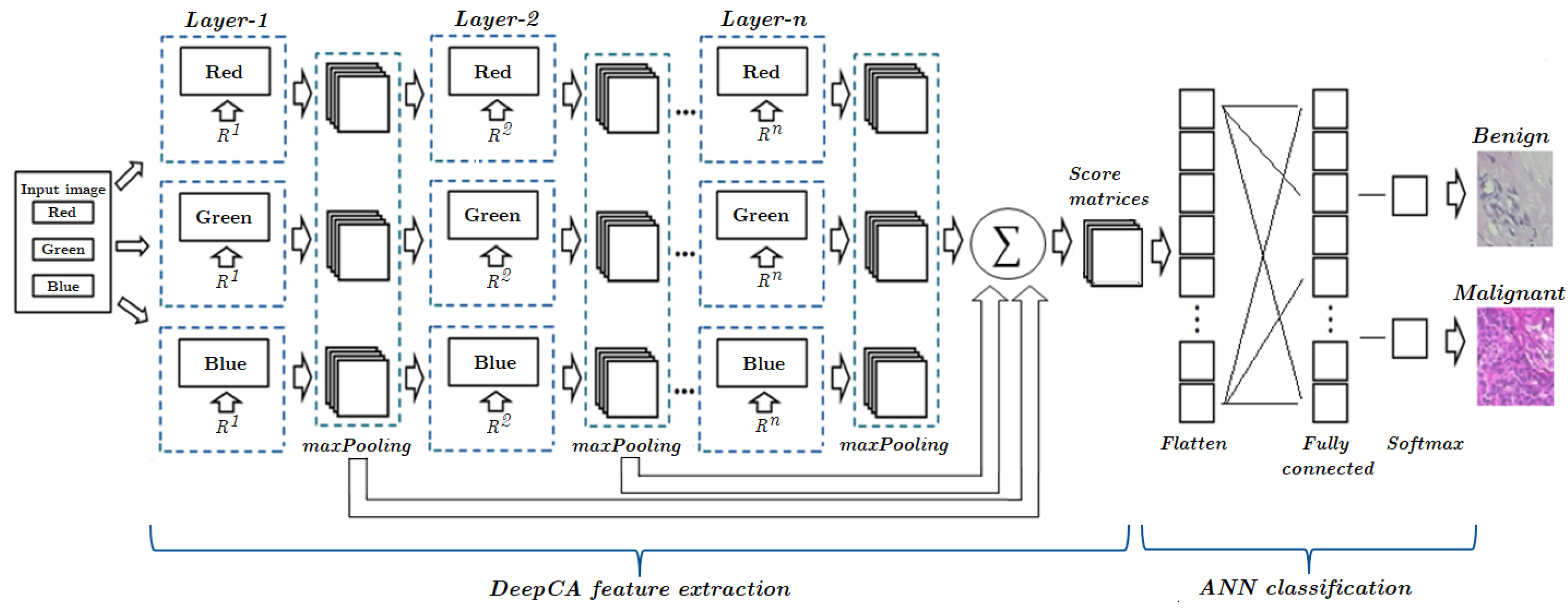 Applsci 13 06081 g007