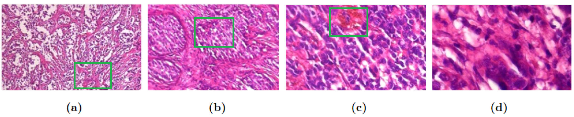 Applsci 13 06081 g008