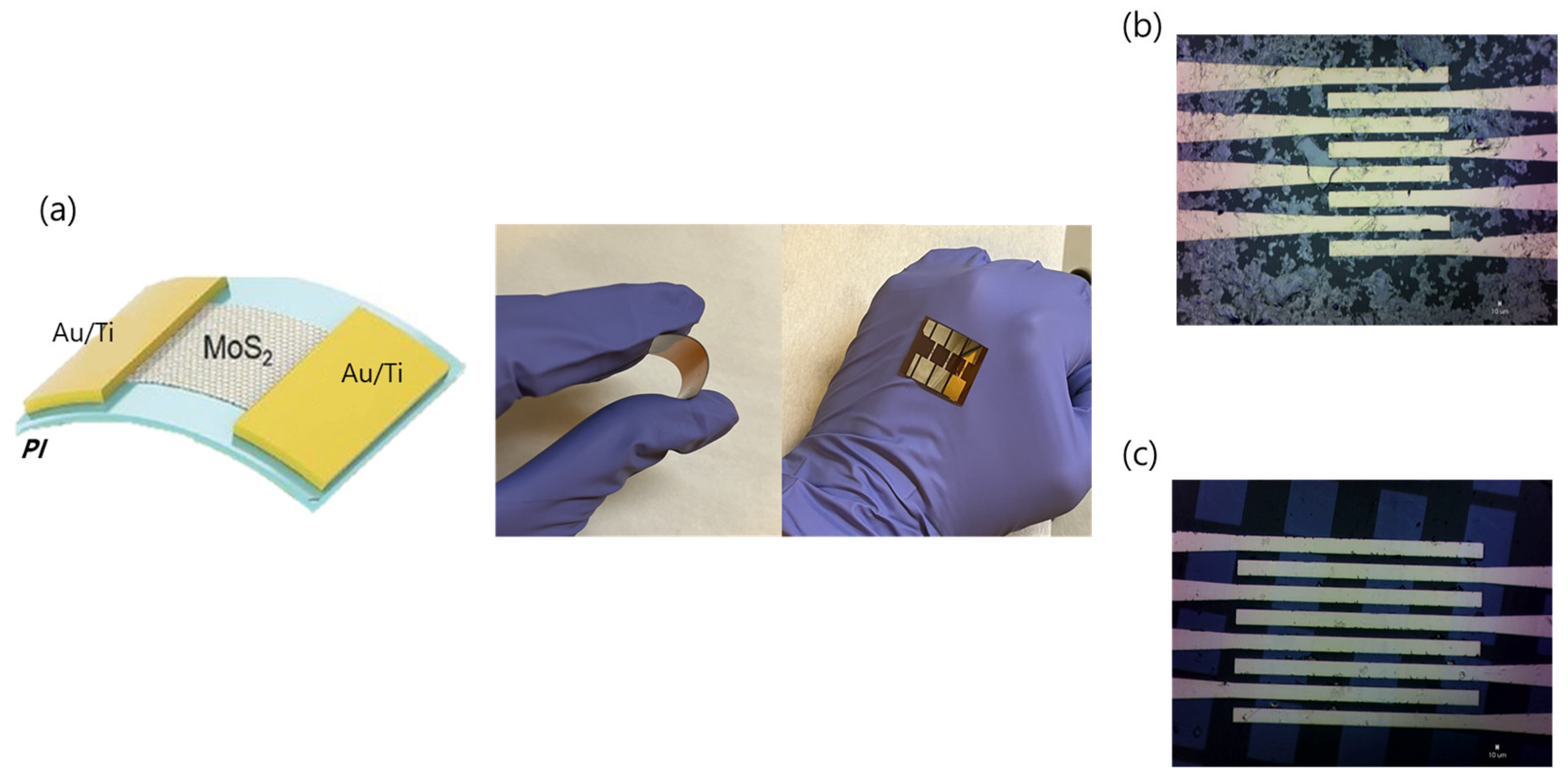 Applsci 13 06084 g002