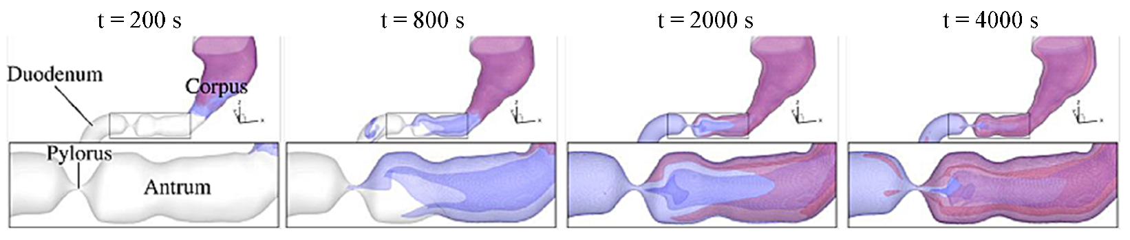 Applsci 13 06092 g004