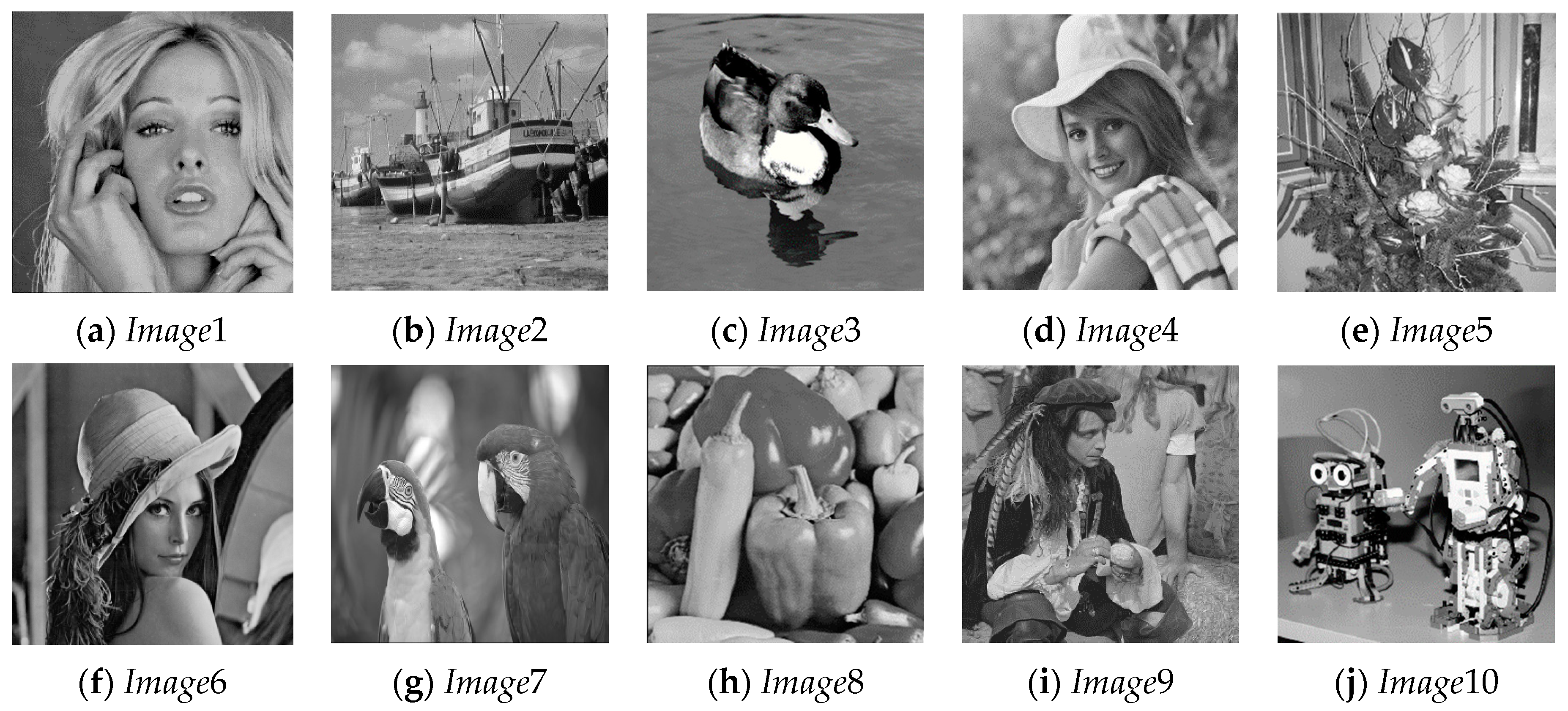 Applsci 13 06105 g004