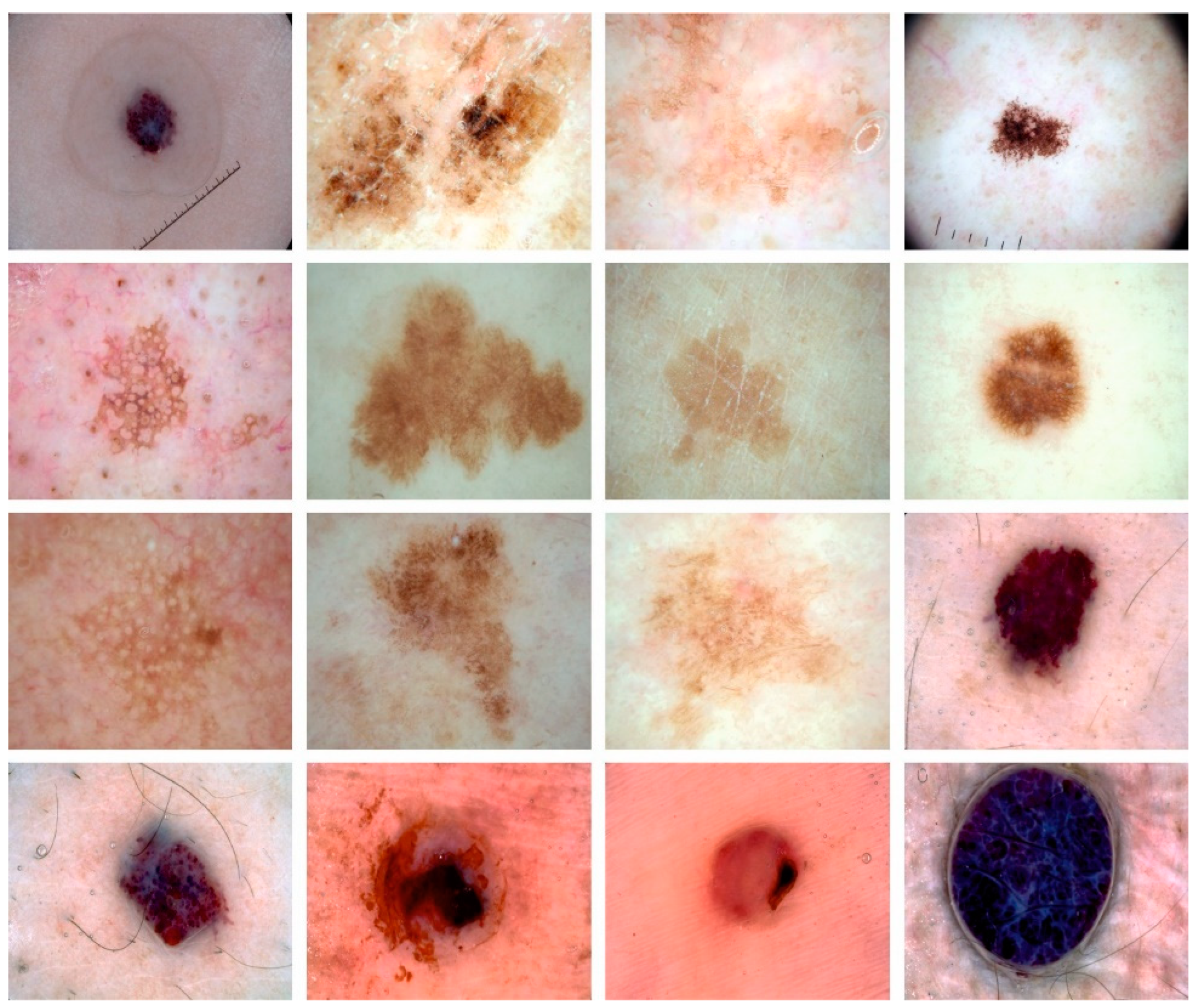 Applsci 13 06108 g002 550