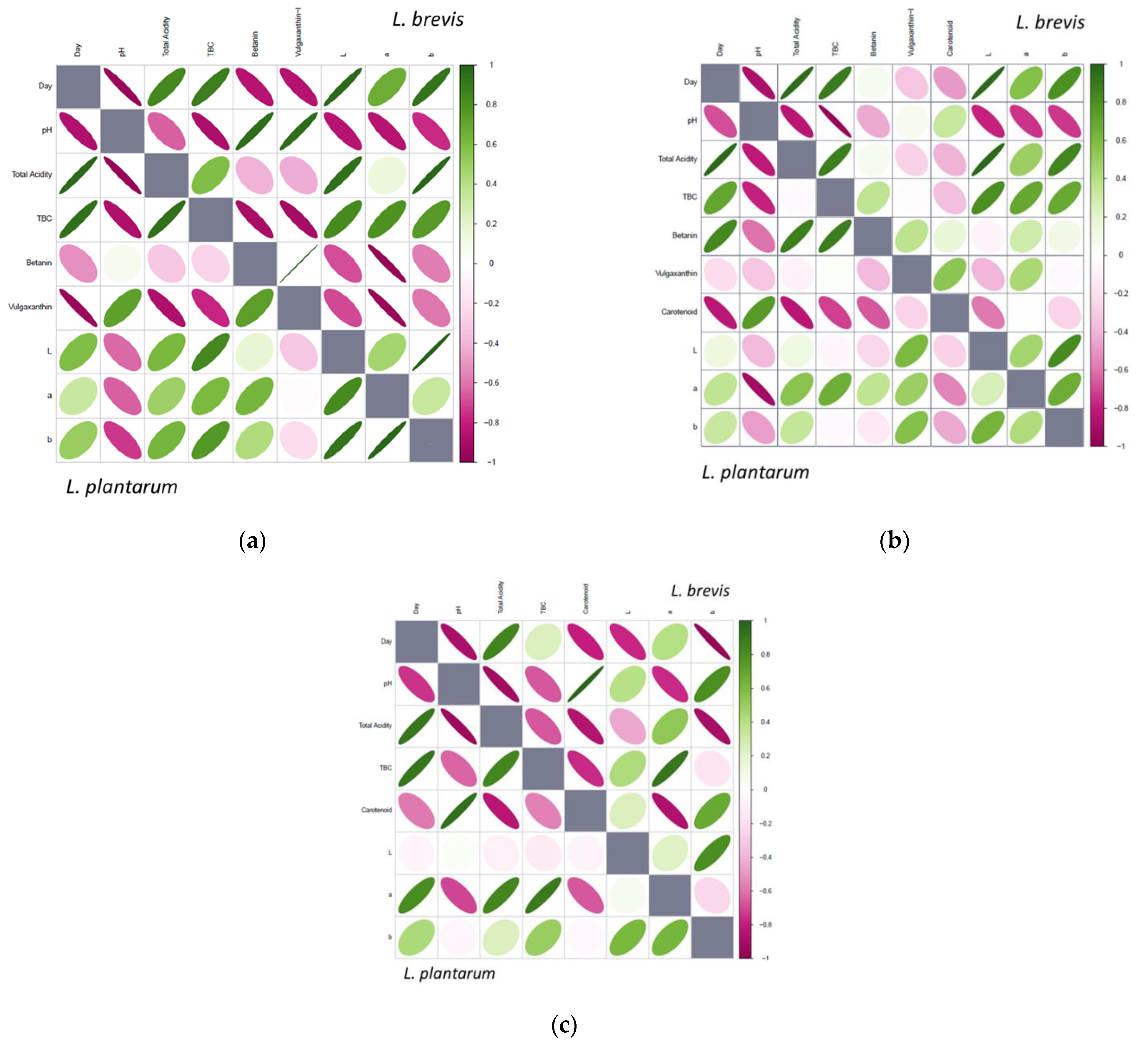 Applsci 13 06113 g003 Applsci 13 06113 g003