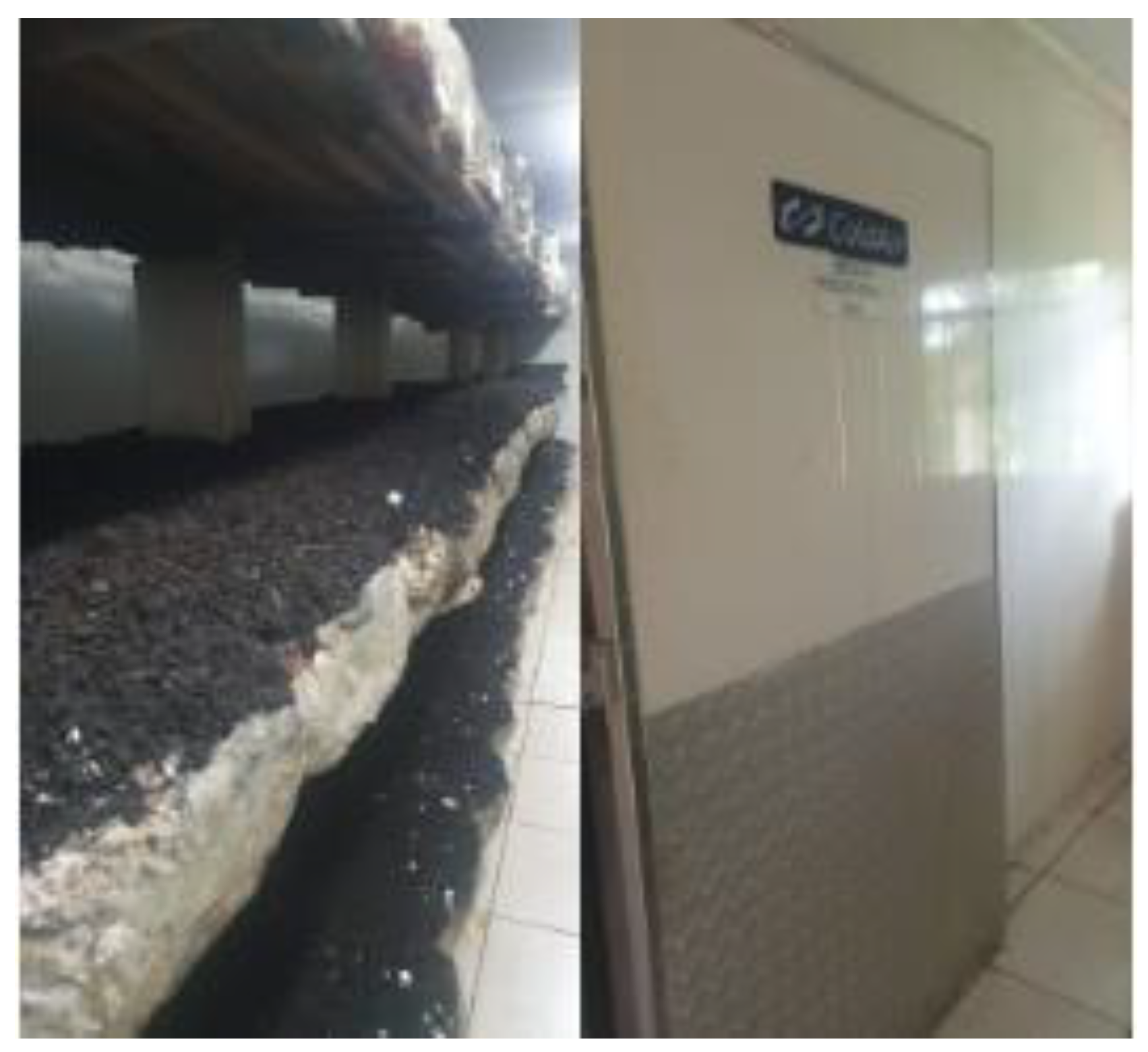 Applsci 13 06129 g004 Applsci 13 06129 g004