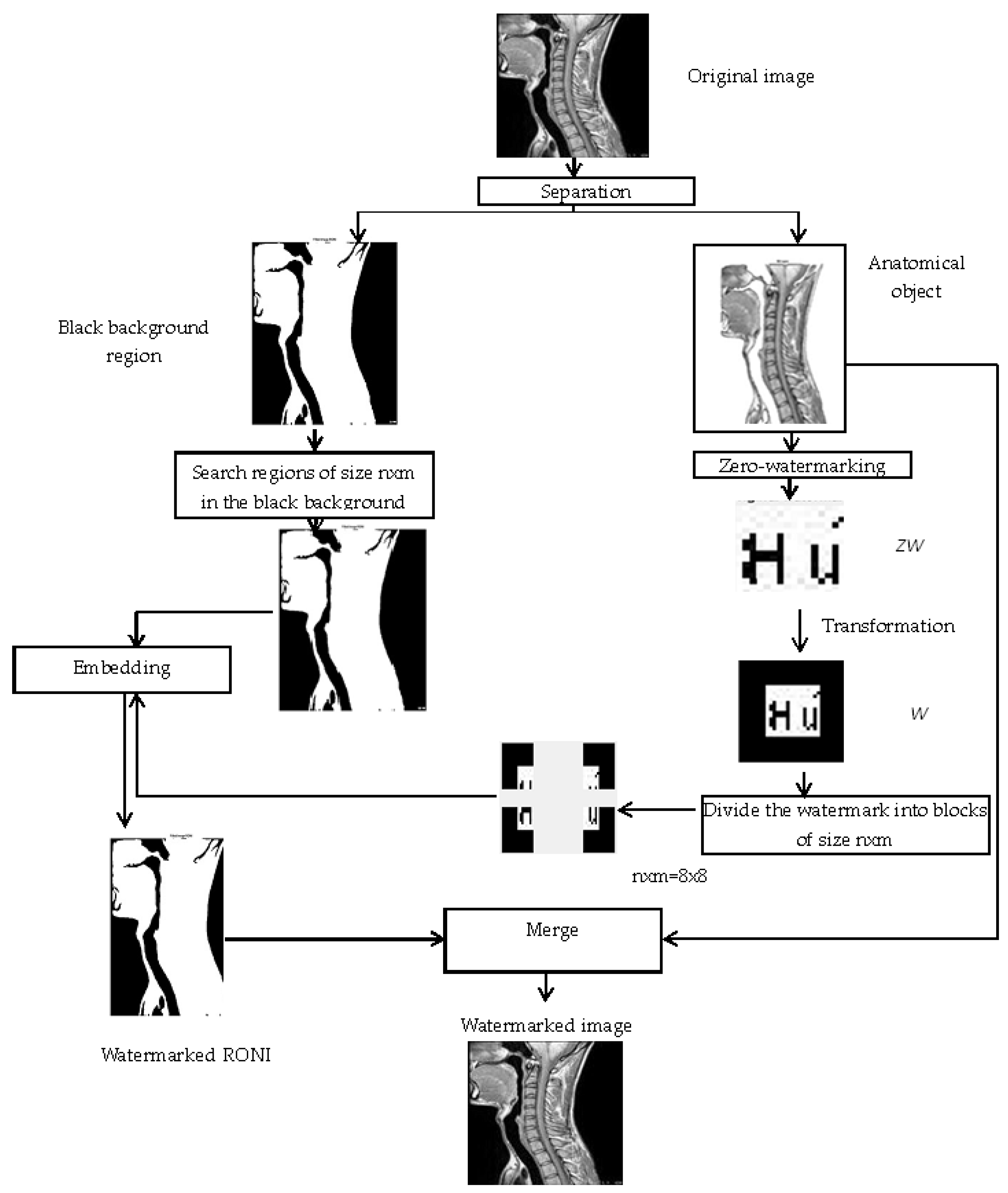 Applsci 13 06132 g006