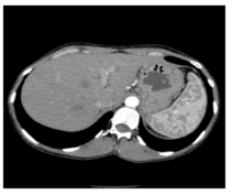 Applsci 13 06132 i001