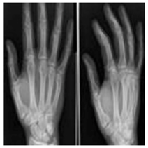 Applsci 13 06132 i004