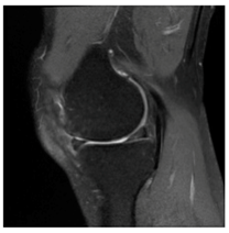 Applsci 13 06132 i009