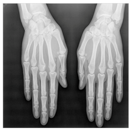 Applsci 13 06132 i012