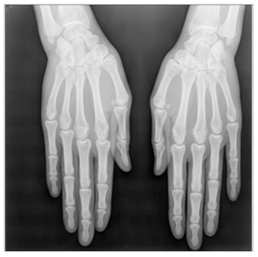 Applsci 13 06132 i021