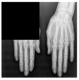 Applsci 13 06132 i024