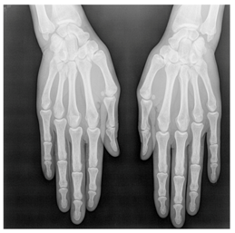 Applsci 13 06132 i027