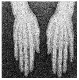 Applsci 13 06132 i033