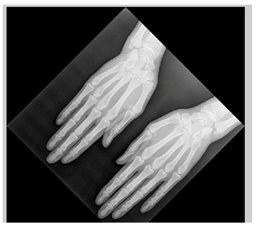 Applsci 13 06132 i036