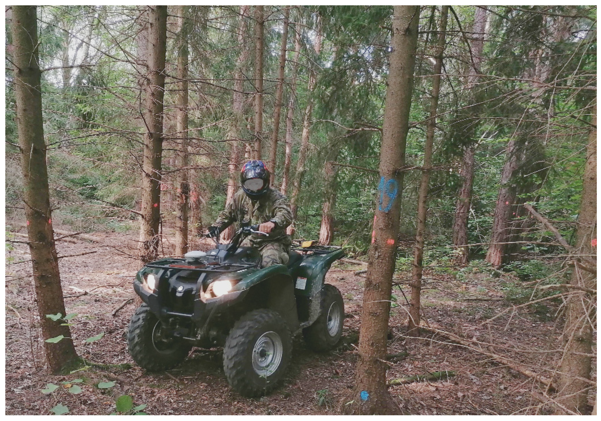 Applsci 13 06142 g004