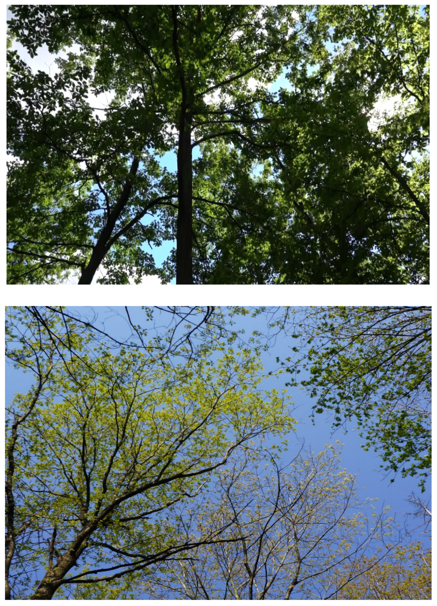 Applsci 13 06142 g017